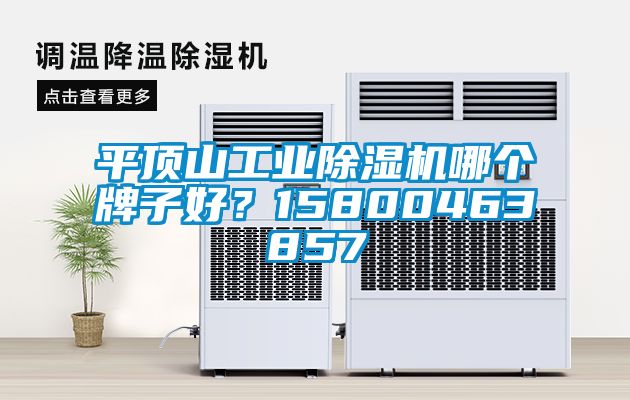 平頂山工業除濕機哪個牌子好？15800463857