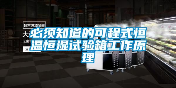 必須知道的可程式恒溫恒濕試驗(yàn)箱工作原理