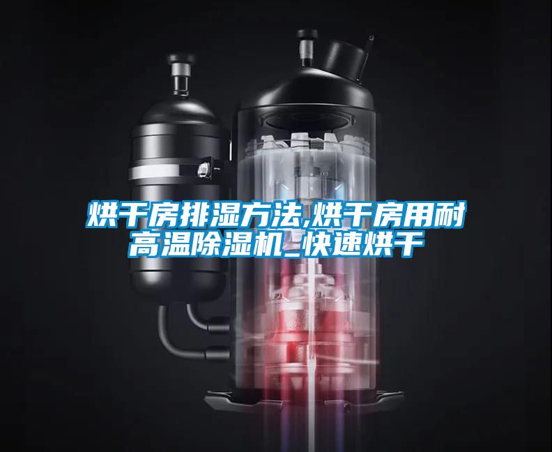 烘干房排濕方法,烘干房用耐高溫除濕機_快速烘干
