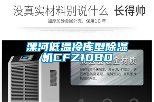 漯河低溫冷庫型除濕機(jī)CFZ10BD