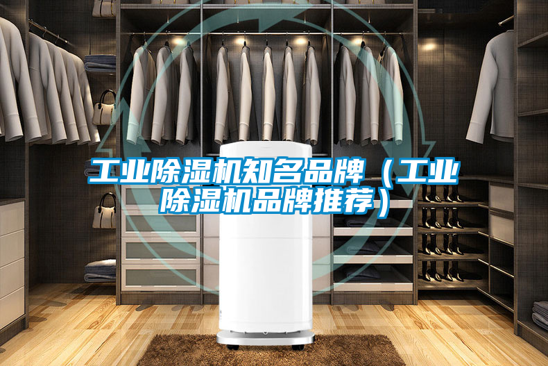工業除濕機知名品牌（工業除濕機品牌推薦）