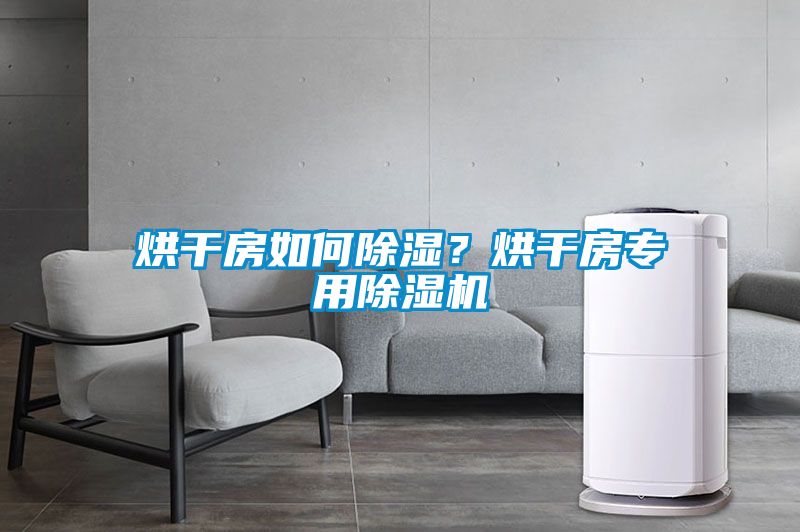 烘干房如何除濕？烘干房專用除濕機(jī)