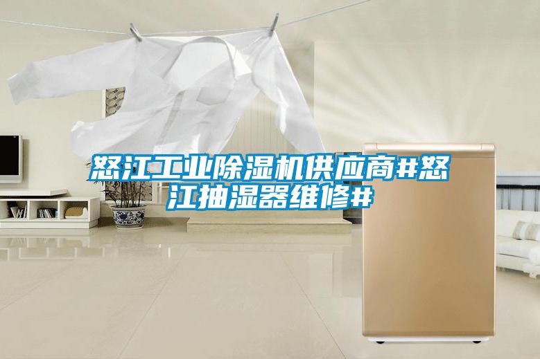 怒江工業除濕機供應商#怒江抽濕器維修#