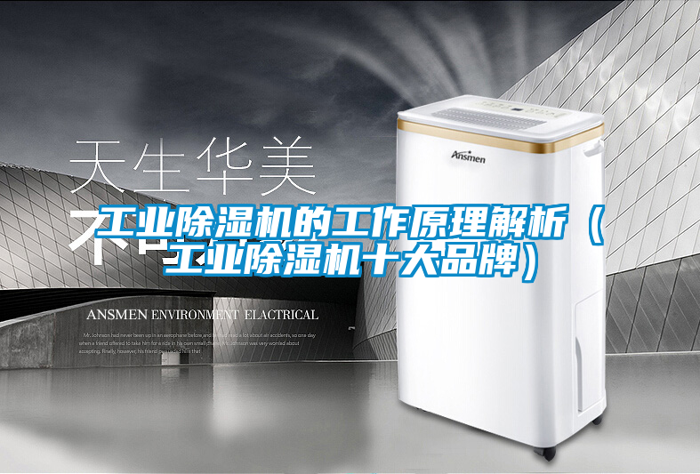 工業除濕機的工作原理解析（工業除濕機十大品牌）
