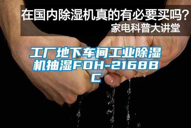 工廠地下車間工業除濕機抽濕FDH-2168BC