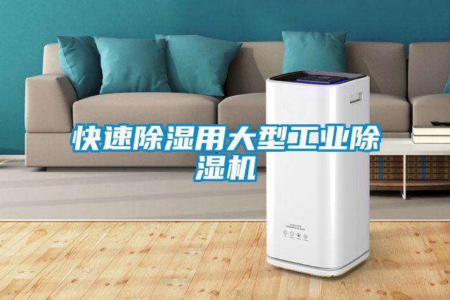 快速除濕用大型工業(yè)除濕機(jī)