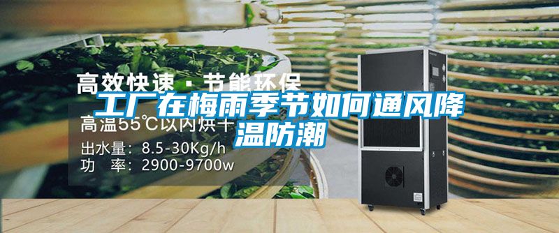 工廠在梅雨季節(jié)如何通風降溫防潮