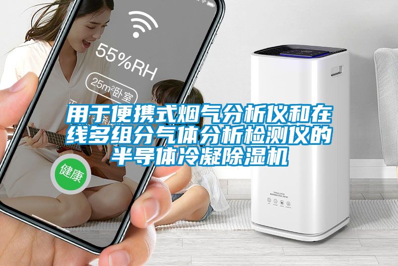 用于便攜式煙氣分析儀和在線多組分氣體分析檢測儀的半導體冷凝除濕機
