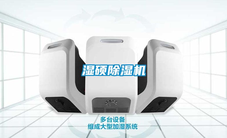 濕碩除濕機(jī)