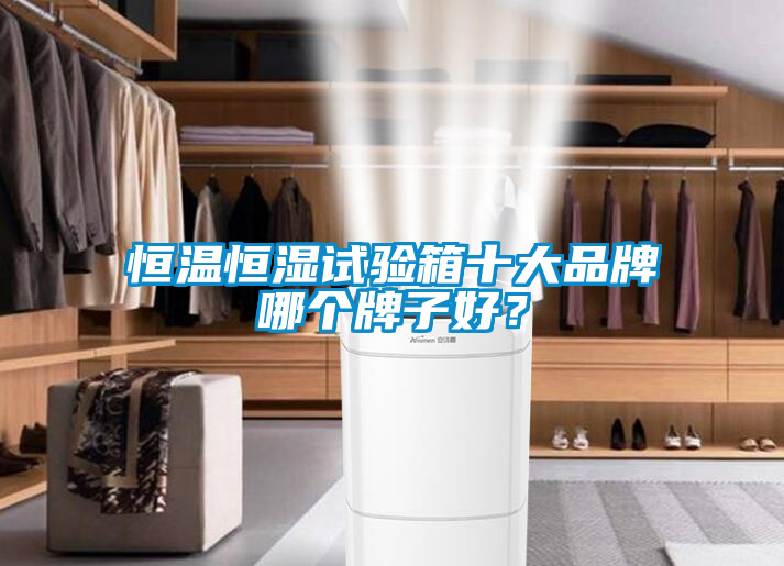 恒溫恒濕試驗(yàn)箱十大品牌哪個(gè)牌子好？