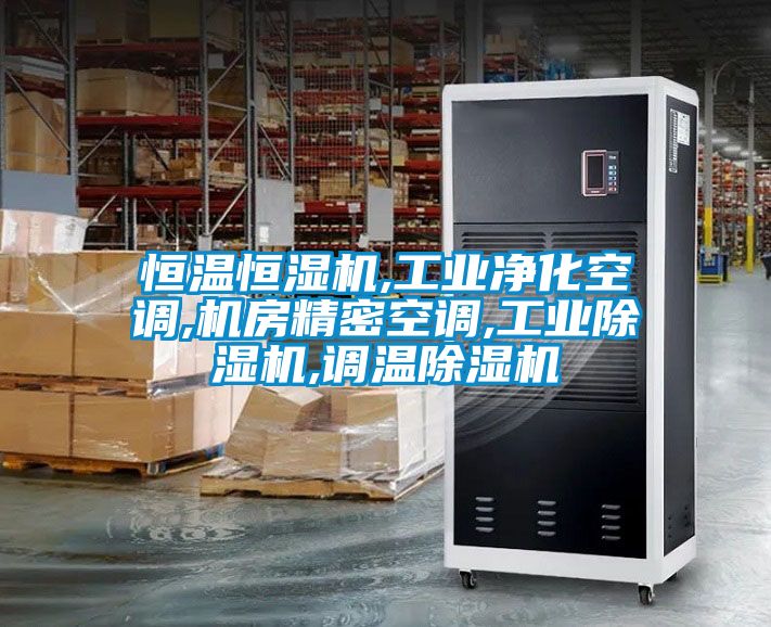 恒溫恒濕機(jī),工業(yè)凈化空調(diào),機(jī)房精密空調(diào),工業(yè)除濕機(jī),調(diào)溫除濕機(jī)
