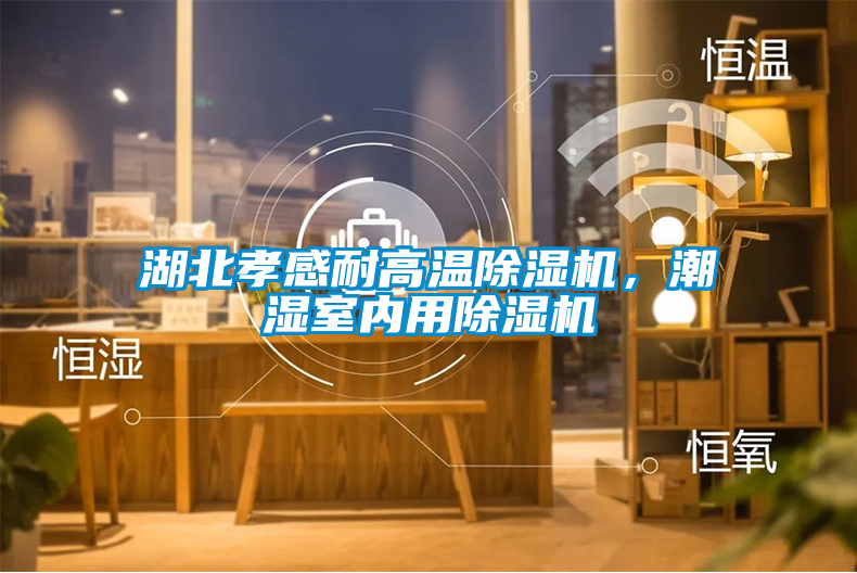 湖北孝感耐高溫除濕機，潮濕室內用除濕機