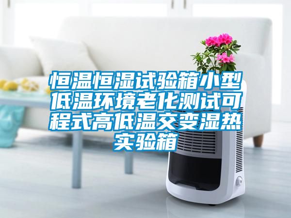 恒溫恒濕試驗(yàn)箱小型低溫環(huán)境老化測(cè)試可程式高低溫交變濕熱實(shí)驗(yàn)箱