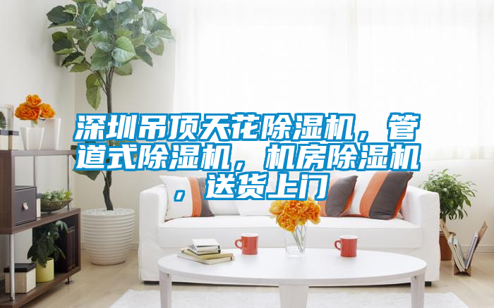 深圳吊頂天花除濕機，管道式除濕機，機房除濕機，送貨上門