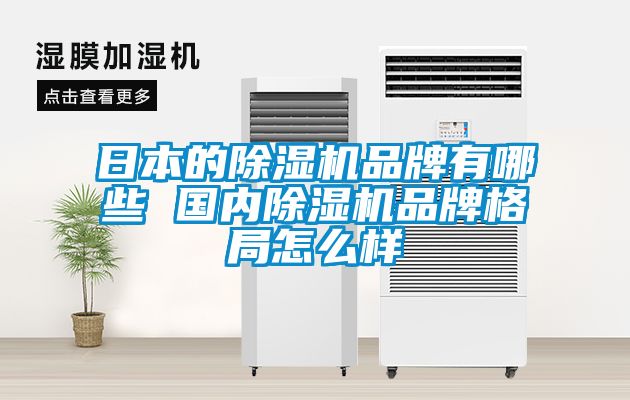 日本的除濕機品牌有哪些 國內(nèi)除濕機品牌格局怎么樣