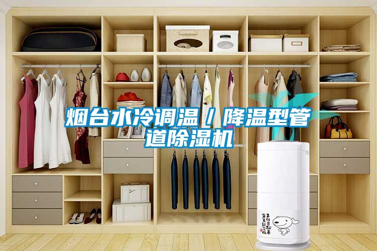 煙臺水冷調溫／降溫型管道除濕機