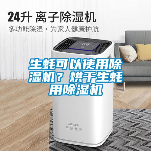 生蠔可以使用除濕機？烘干生蠔用除濕機