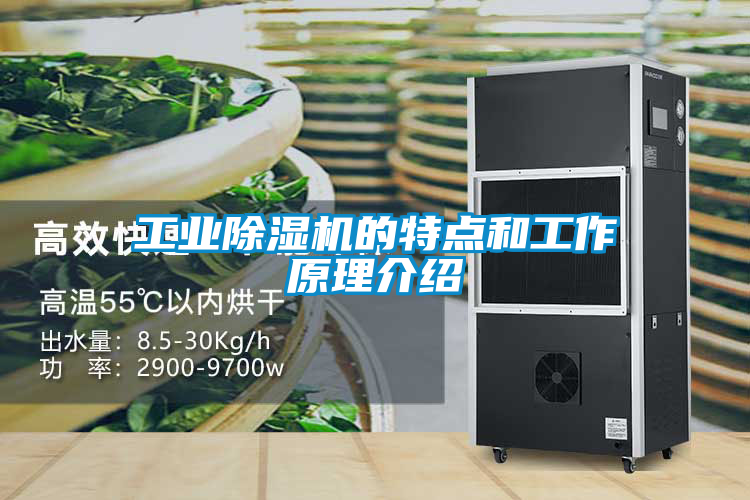 工業除濕機的特點和工作原理介紹