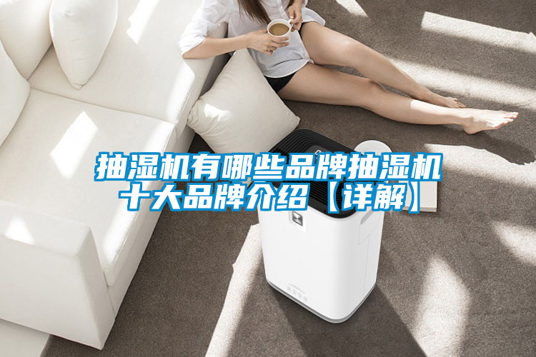 抽濕機有哪些品牌抽濕機十大品牌介紹【詳解】