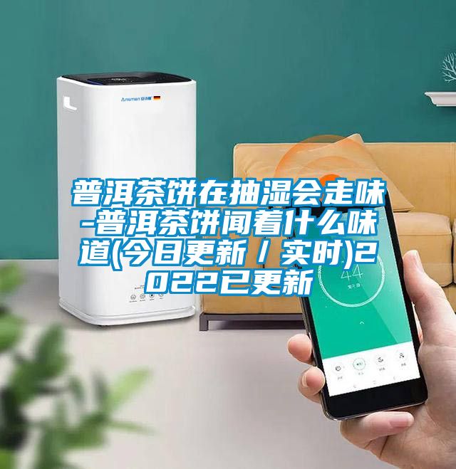 普洱茶餅在抽濕會走味-普洱茶餅聞著什么味道(今日更新／實時)2022已更新