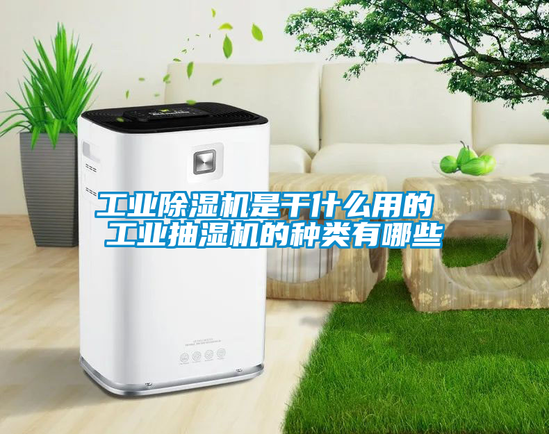 工業除濕機是干什么用的 工業抽濕機的種類有哪些