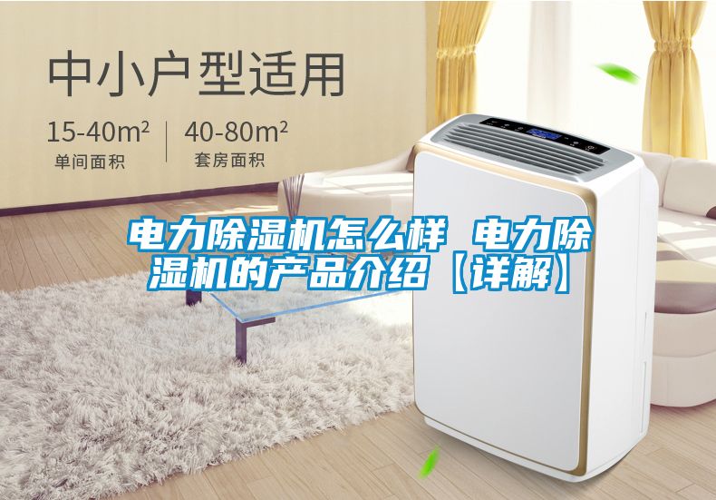 電力除濕機怎么樣 電力除濕機的產(chǎn)品介紹【詳解】