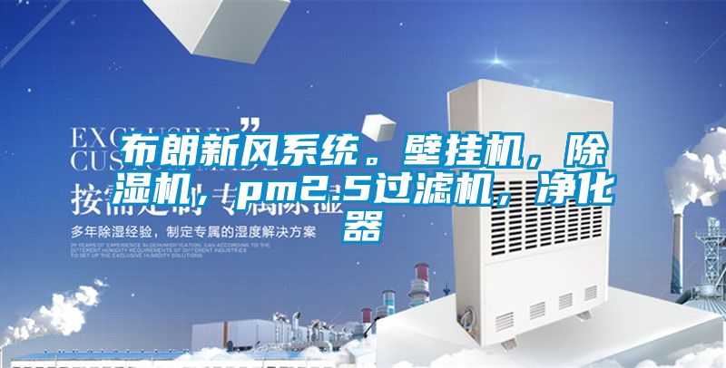 布朗新風(fēng)系統(tǒng)。壁掛機(jī)，除濕機(jī)，pm2.5過(guò)濾機(jī)，凈化器