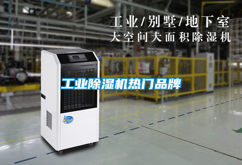 工業(yè)除濕機(jī)熱門品牌