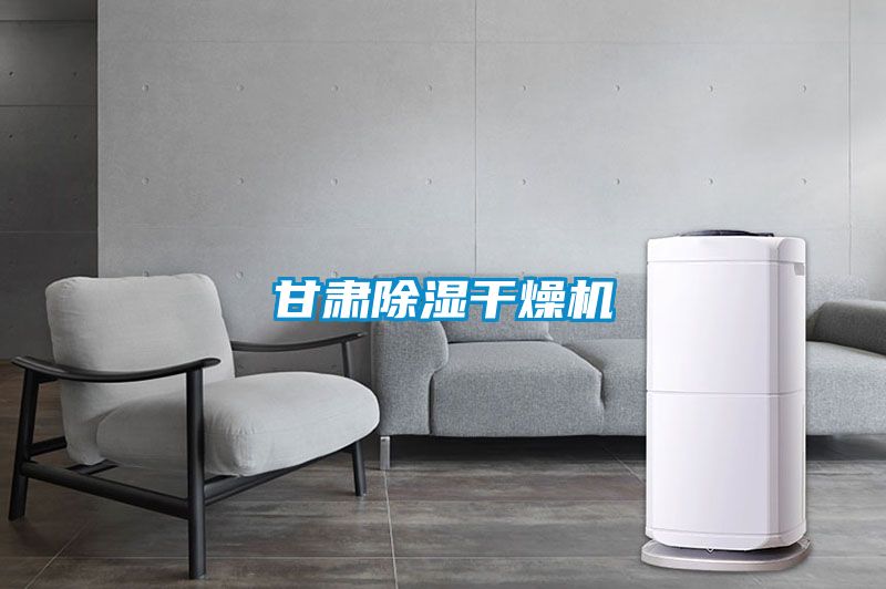 甘肅除濕干燥機
