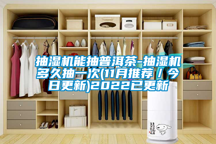 抽濕機能抽普洱茶-抽濕機多久抽一次(11月推薦／今日更新)2022已更新