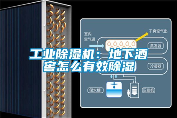 工業(yè)除濕機(jī)：地下酒窖怎么有效除濕