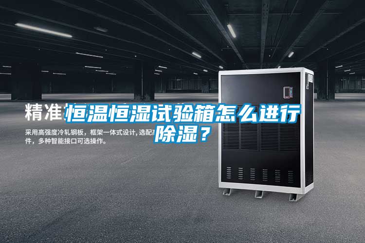 恒溫恒濕試驗(yàn)箱怎么進(jìn)行除濕？