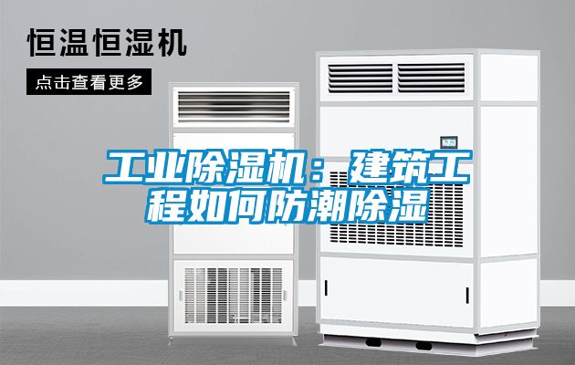 工業除濕機：建筑工程如何防潮除濕