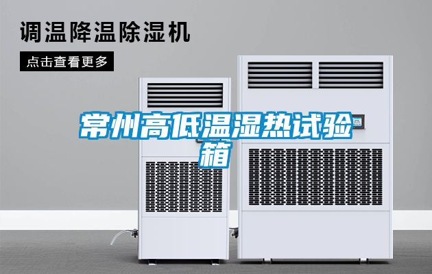 常州高低溫濕熱試驗箱