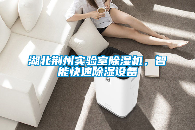 湖北荊州實驗室除濕機，智能快速除濕設備