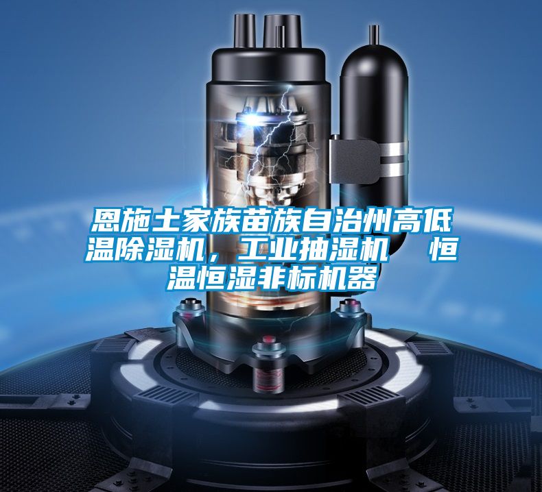 恩施土家族苗族自治州高低溫除濕機，工業抽濕機  恒溫恒濕非標機器