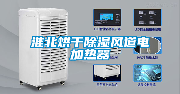 淮北烘干除濕風(fēng)道電加熱器