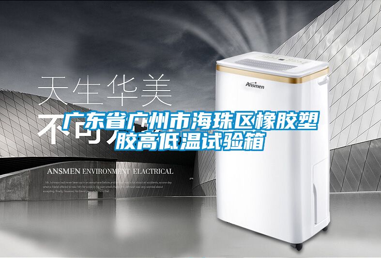 廣東省廣州市海珠區橡膠塑膠高低溫試驗箱