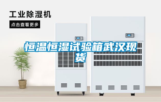 恒溫恒濕試驗箱武漢現(xiàn)貨