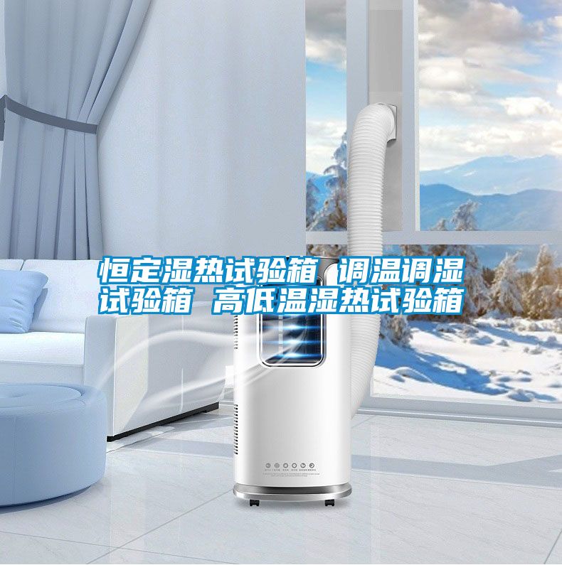 恒定濕熱試驗(yàn)箱 調(diào)溫調(diào)濕試驗(yàn)箱 高低溫濕熱試驗(yàn)箱
