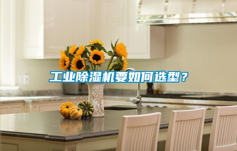 工業(yè)除濕機(jī)要如何選型？