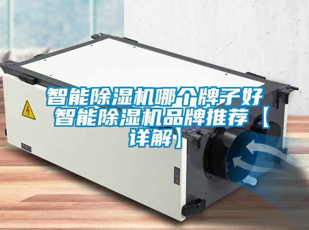 智能除濕機哪個牌子好 智能除濕機品牌推薦【詳解】