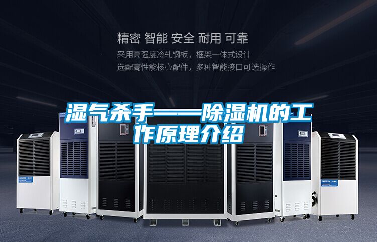 濕氣殺手——除濕機的工作原理介紹