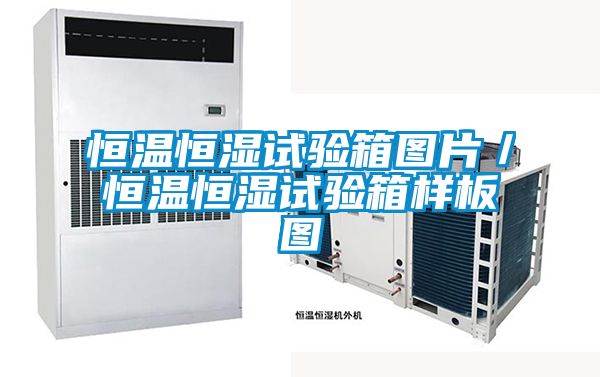 恒溫恒濕試驗(yàn)箱圖片／恒溫恒濕試驗(yàn)箱樣板圖