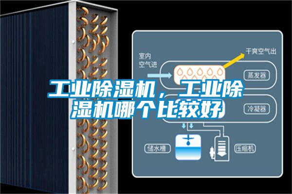 工業(yè)除濕機，工業(yè)除濕機哪個比較好