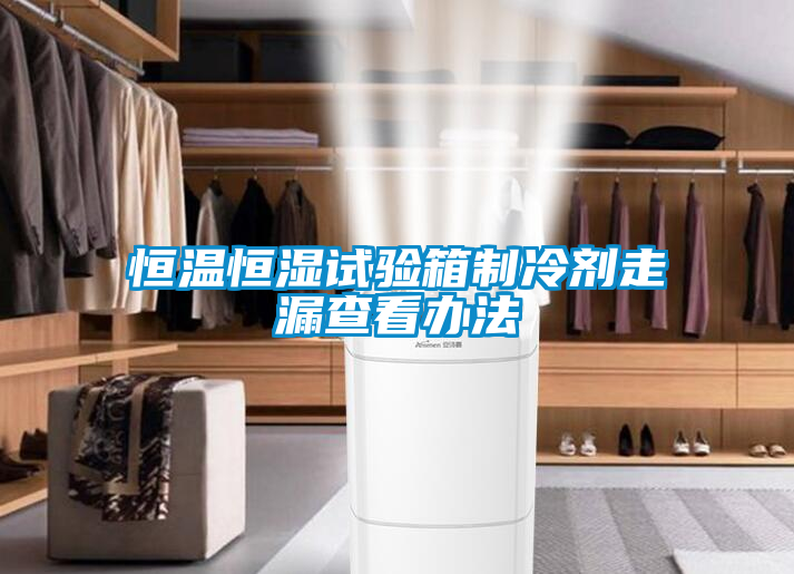 恒溫恒濕試驗箱制冷劑走漏查看辦法