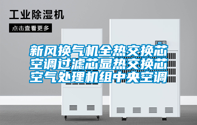 新風(fēng)換氣機(jī)全熱交換芯空調(diào)過(guò)濾芯顯熱交換芯空氣處理機(jī)組中央空調(diào)