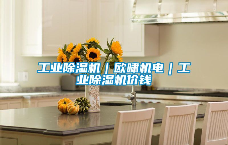 工業除濕機｜歐嘯機電｜工業除濕機價錢