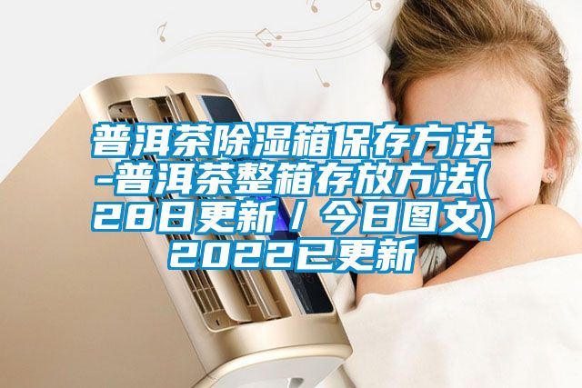 普洱茶除濕箱保存方法-普洱茶整箱存放方法(28日更新／今日圖文)2022已更新