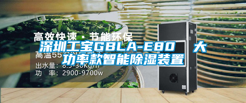 深圳工寶GBLA-E80  大功率款智能除濕裝置